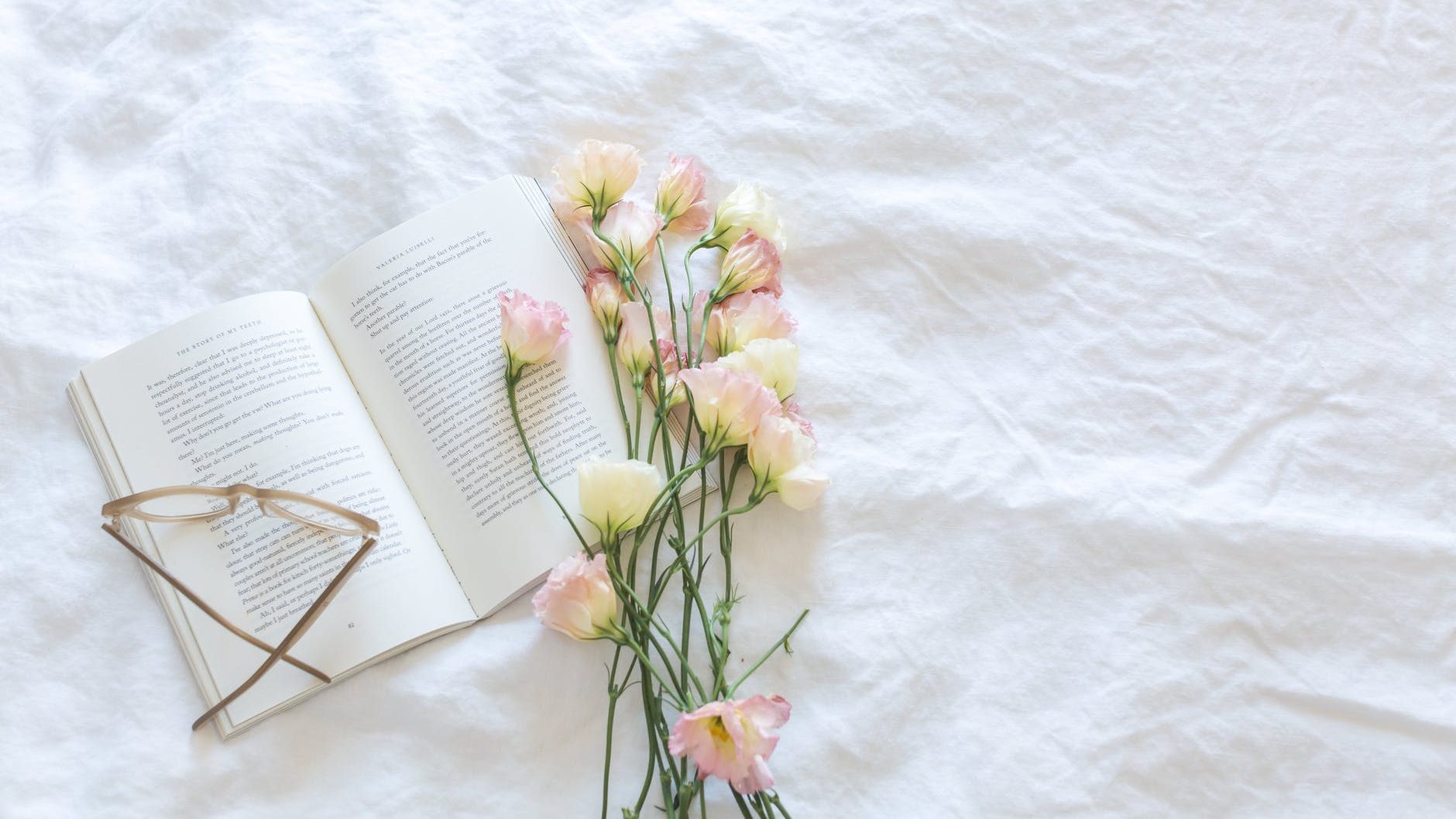 blanket bloom blooming blossom